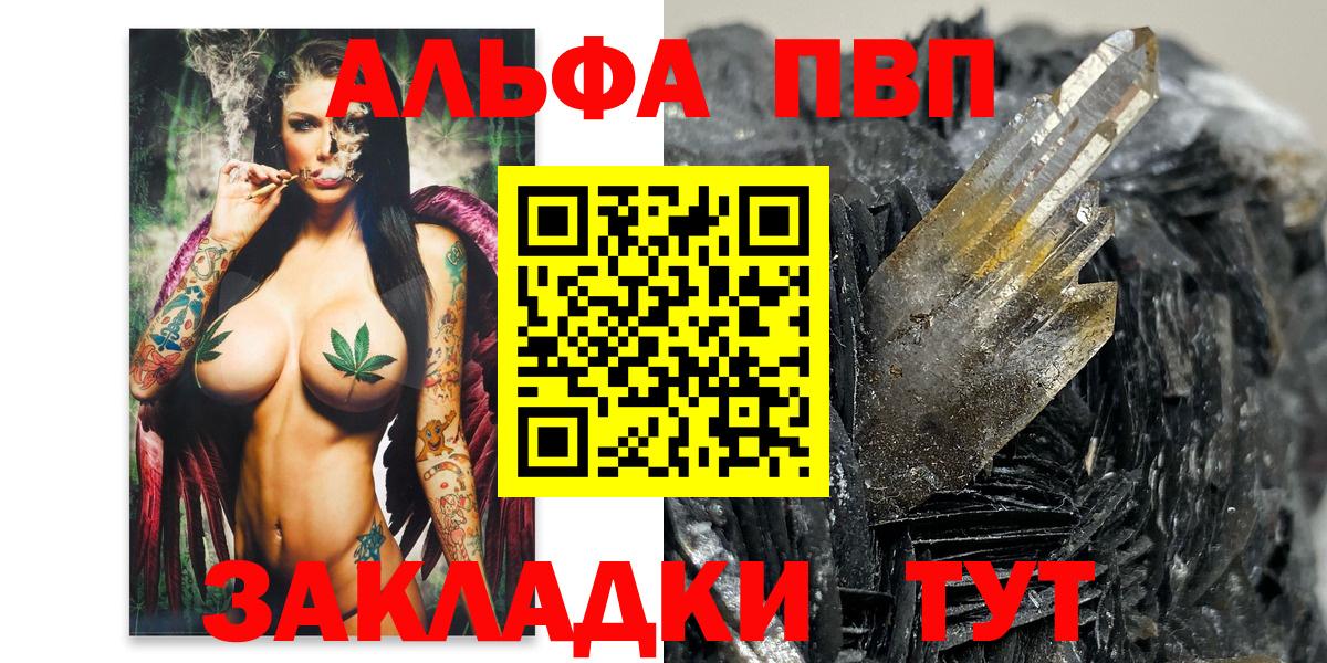 A PVP СК Саратов