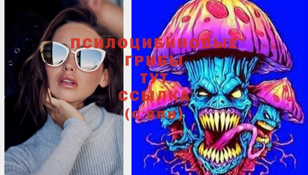 Альфа ПВП Осташков