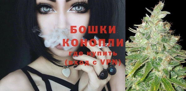 Альфа ПВП Осташков