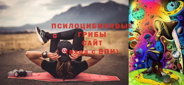 Альфа ПВП Осташков