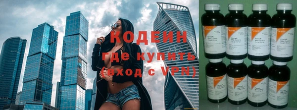 гидра Калининец