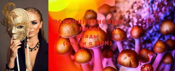 Альфа ПВП Осташков