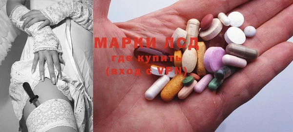 хмурый Кущёвская