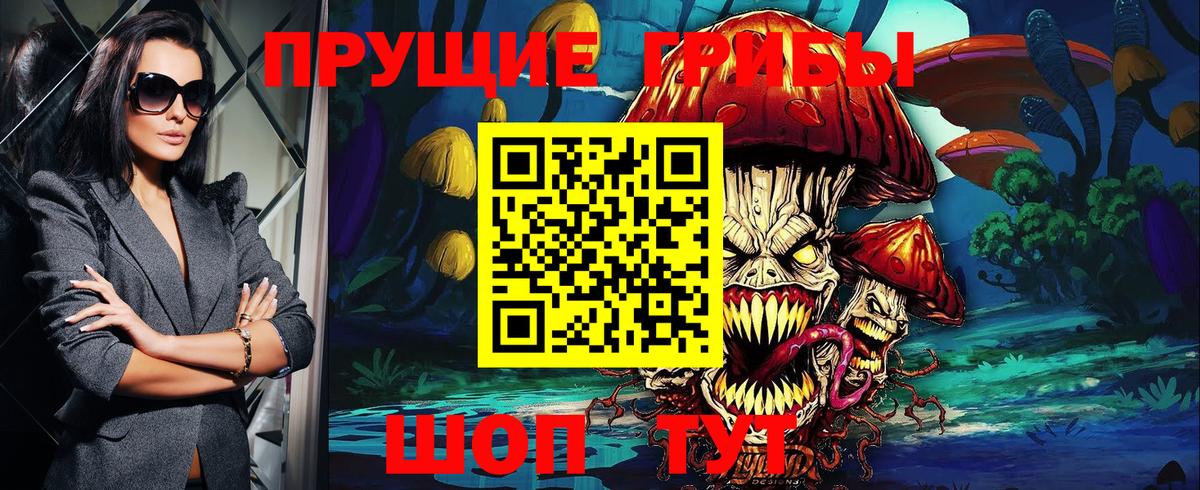 Псилоцибиновые грибы мицелий Саратов