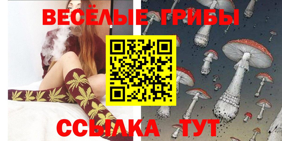 Хэш  Cocaine  Саратов  Меф  Molly  Вход с VPN  МЕТ  Бошки Шишки  CBD масло  Кислота 